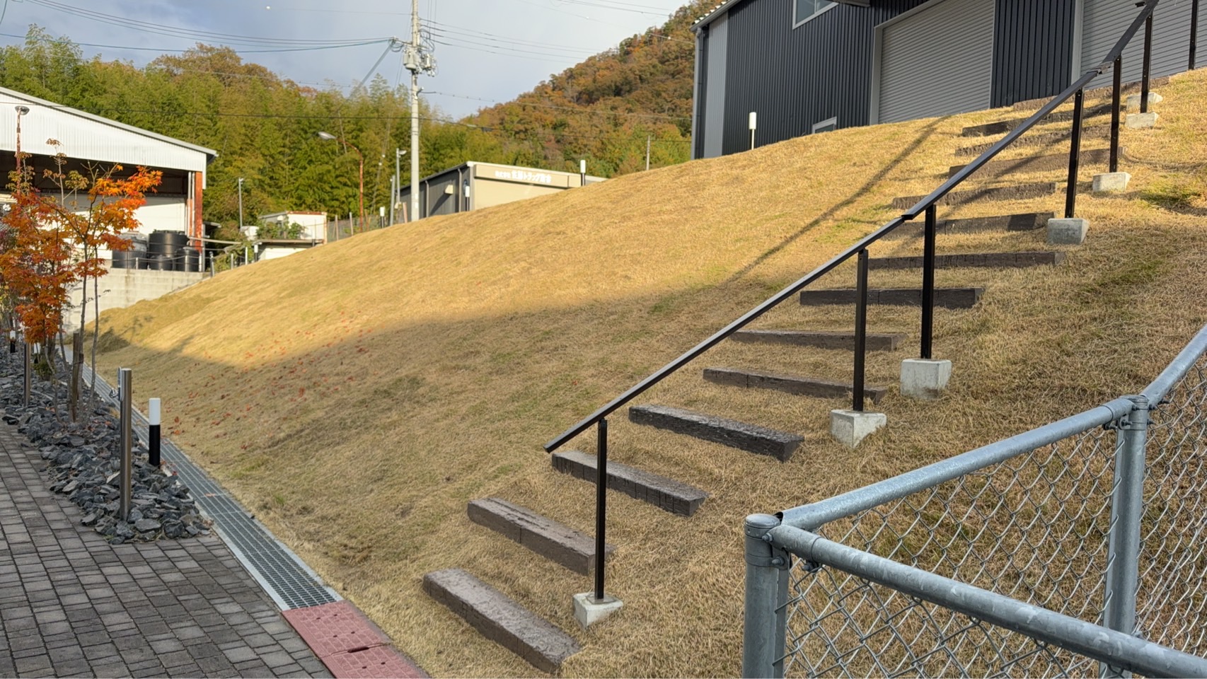 ドッグラン芝刈り中〜🐕 画像