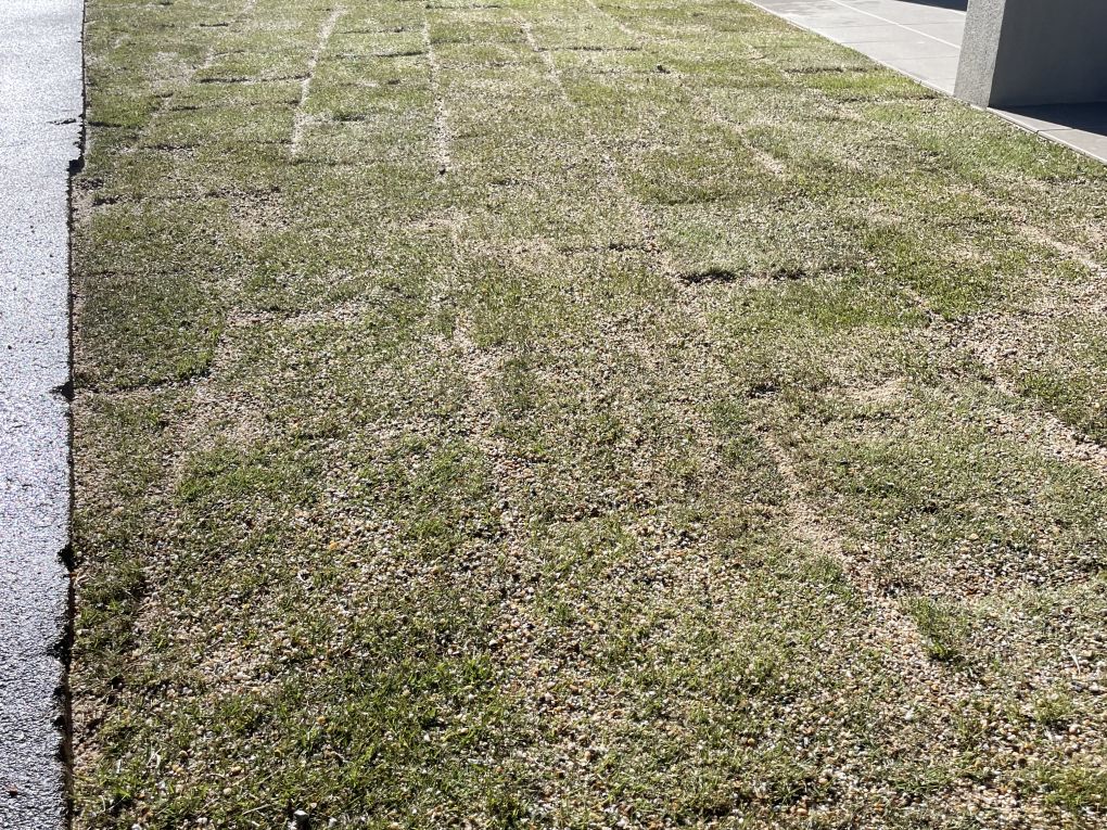 No.117 リフォーム工事　天然芝(TM9)・人工芝工事 画像