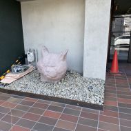 猫マンション アイキャッチ画像