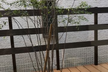 2024-08/1723809306_img-9200