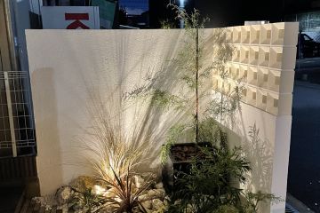 2024-08/1725064179_img-3213