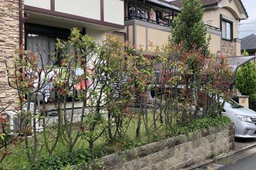 2024-08/c57805734c73599882d774d565570f640fca4019