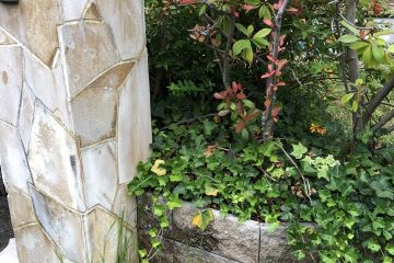 2024-08/cb29c5f04200cfdf94264cc6db1b744387c0b548