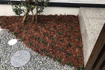 2024-09/line-oa-chat-240907-184513-group-2