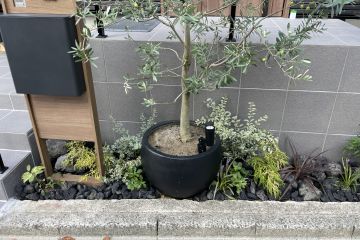 2024-11/1730853983_img-0522