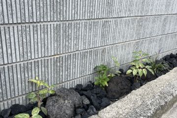 2024-11/1730853983_img-0525