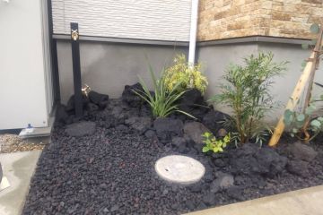 2024-11/1731457366_img-8612