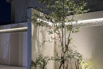 2024-11/1731938137_img-2463