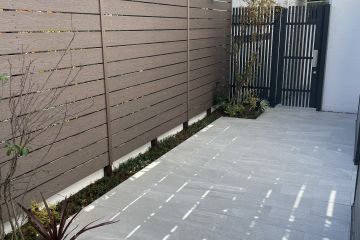 2024-11/1731938382_img-2277