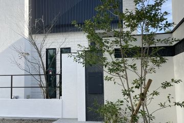 2024-11/1731938459_img-2293