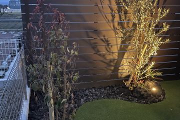 2025-01/1736988845_img-2374