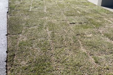 2025-02/1738633974_img-8583