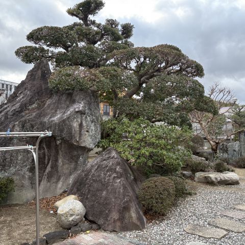 現場調査 アイキャッチ画像