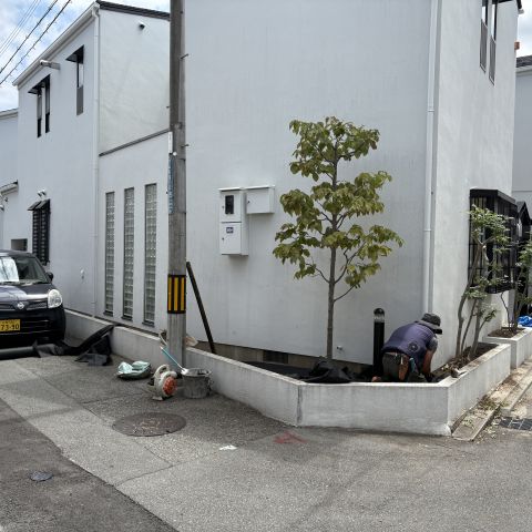 生垣からロックガーデンへ アイキャッチ画像